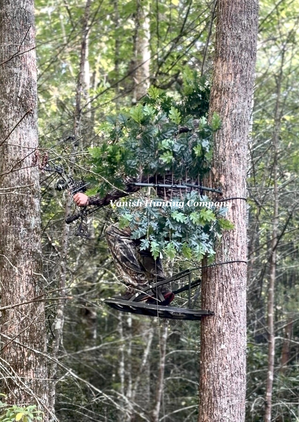 1 Tree Ninja W/ Set Of (12)Green and (12)Red/Brown Oak Branch Sets