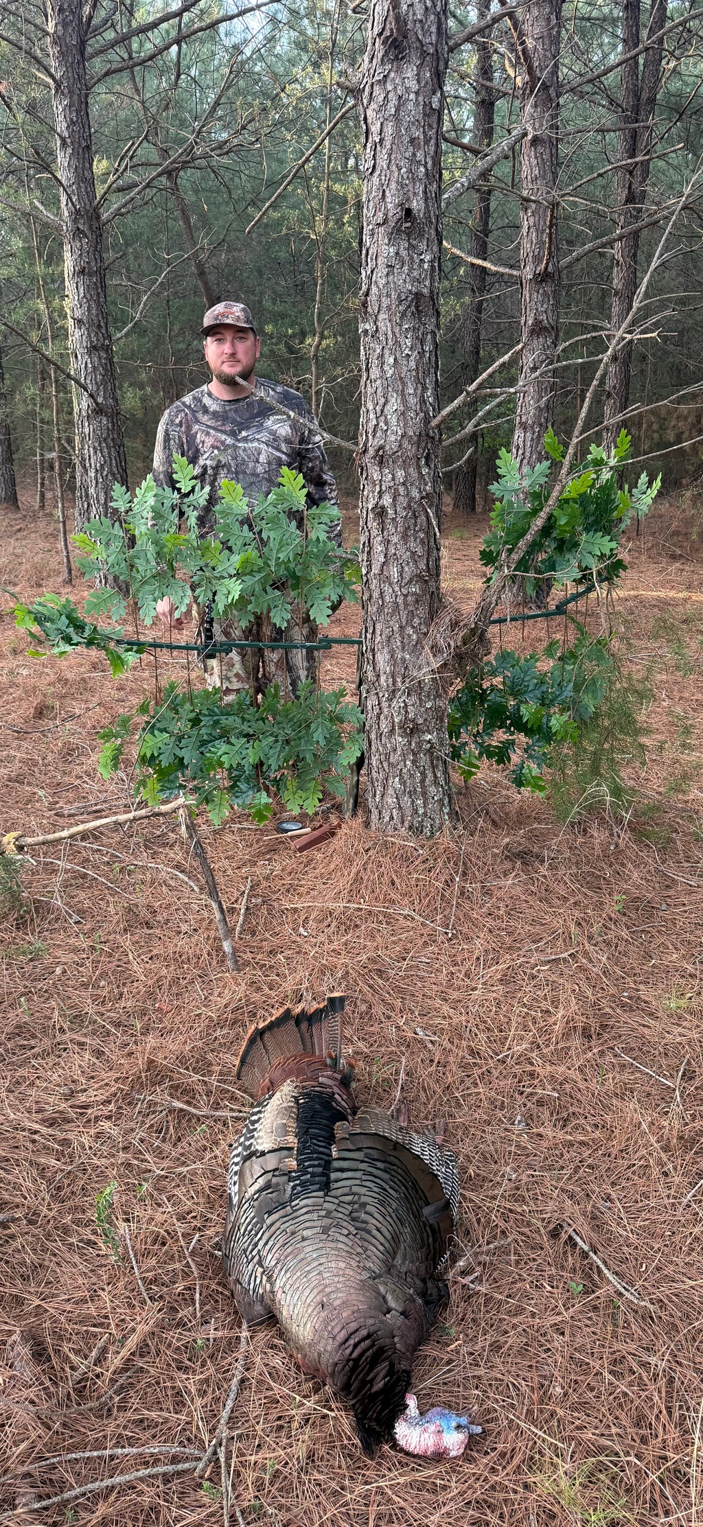 2 Tree Ninjas w/ 2 sets Of (12)Green Oak Branches