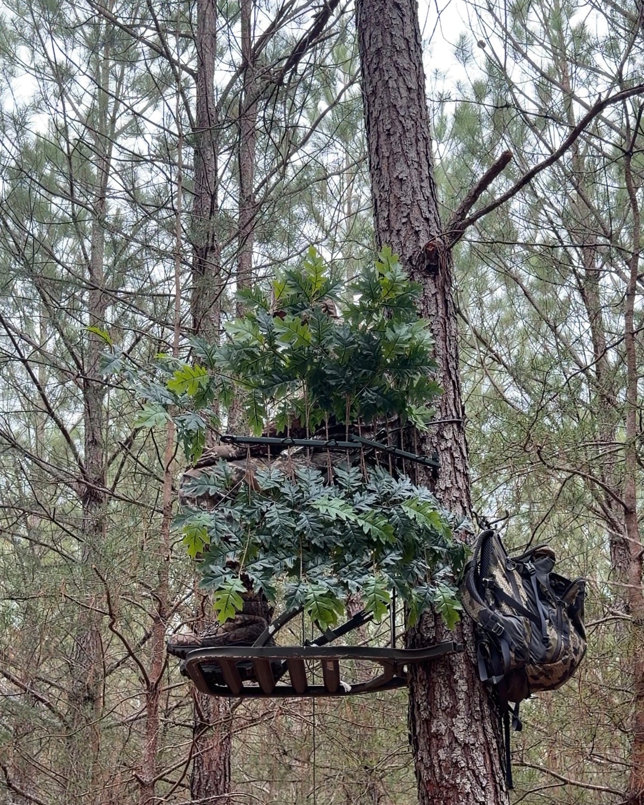 2 Tree Ninjas w/ 2 sets Of (12)Green Oak Branches