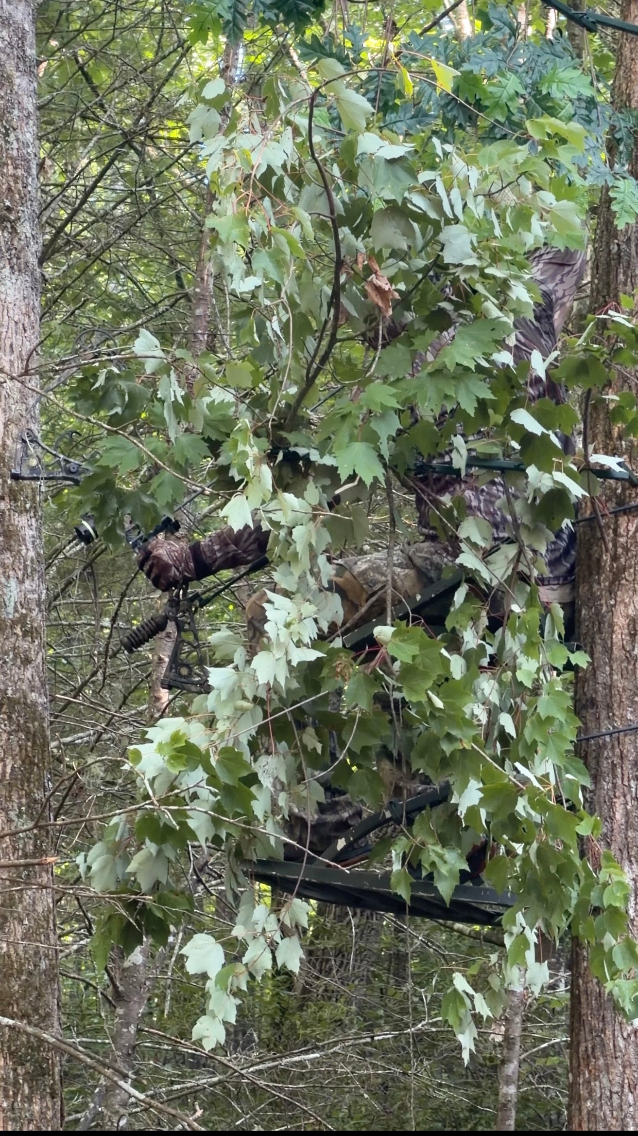 4 Pack-TREE NINJA (For Real Branches) (Faux Branches Not Included)
