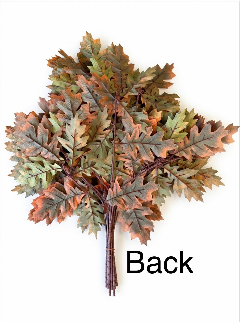 Red/Brown Oak Branches (12)